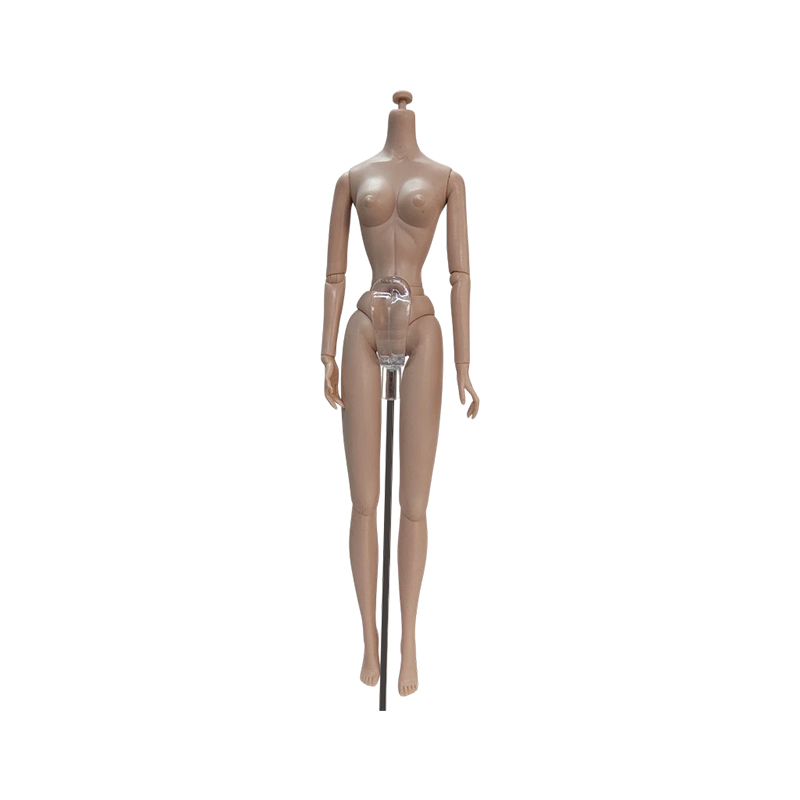 Human Body Simulation Model