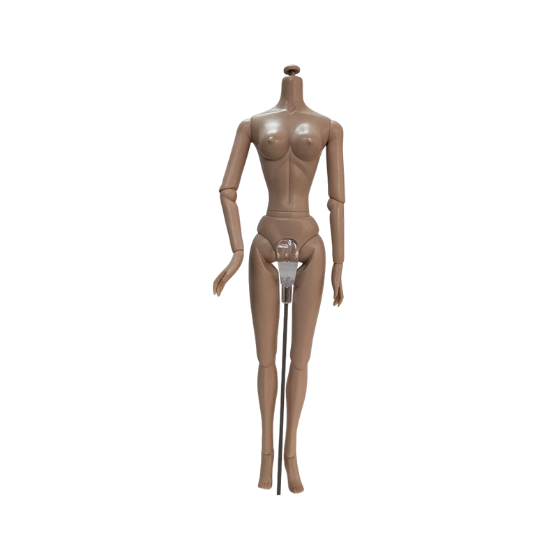 Human Body Simulation Model