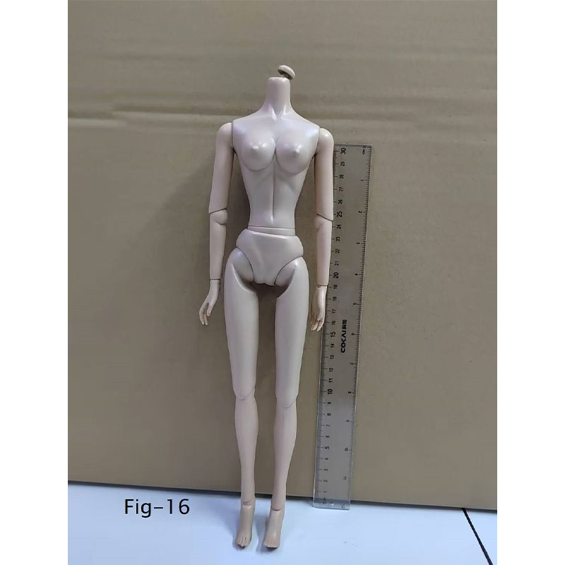 Human Body Simulation Model