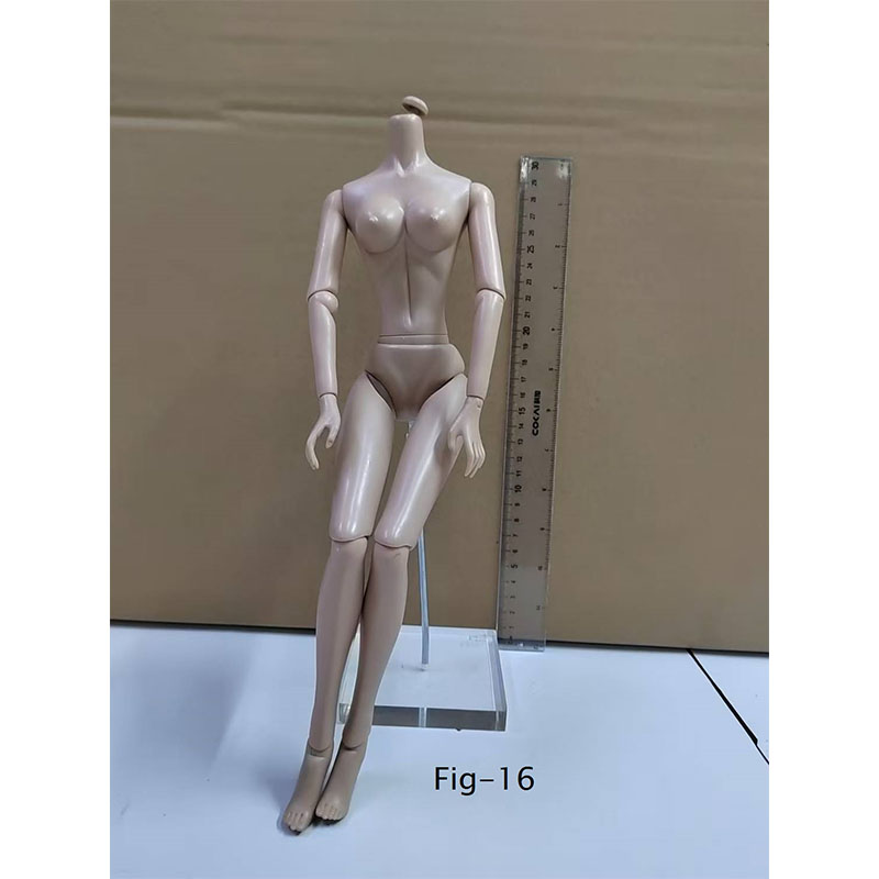 Human Body Simulation Model