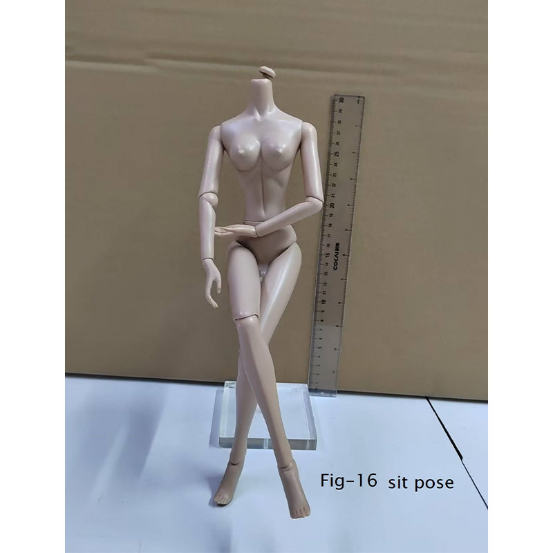 Human Body Simulation Model